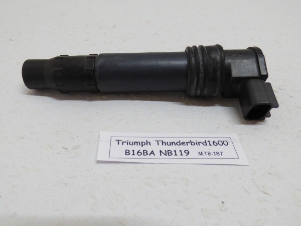 Triumph Thunderbird 1600 1700 B16BA Zündspule Zündkerzenstecker