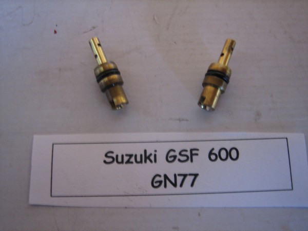 Suzuki GSF 600 GN77 Öldüsen Motor zum Zylinder