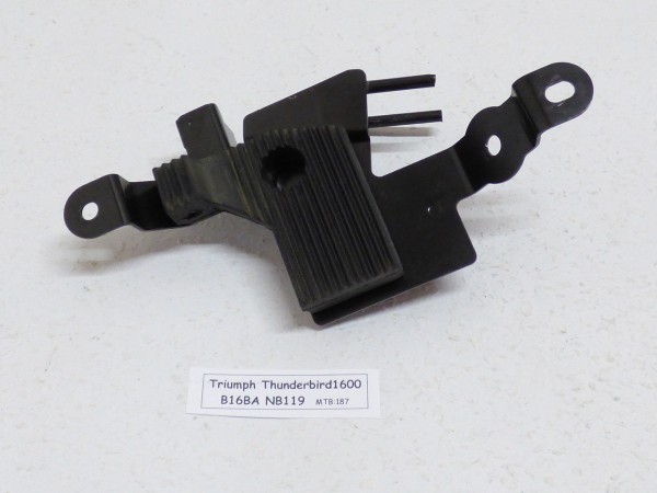 Triumph Thunderbird 1600 1700 B16BA T2500644 Bracket, Retaining, ECU